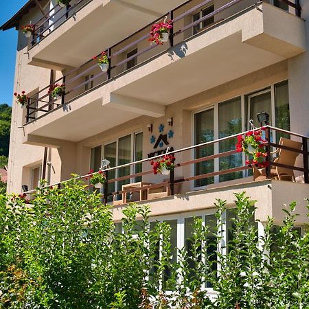 Vila Victoria Râmnicu Vâlcea 외부 사진