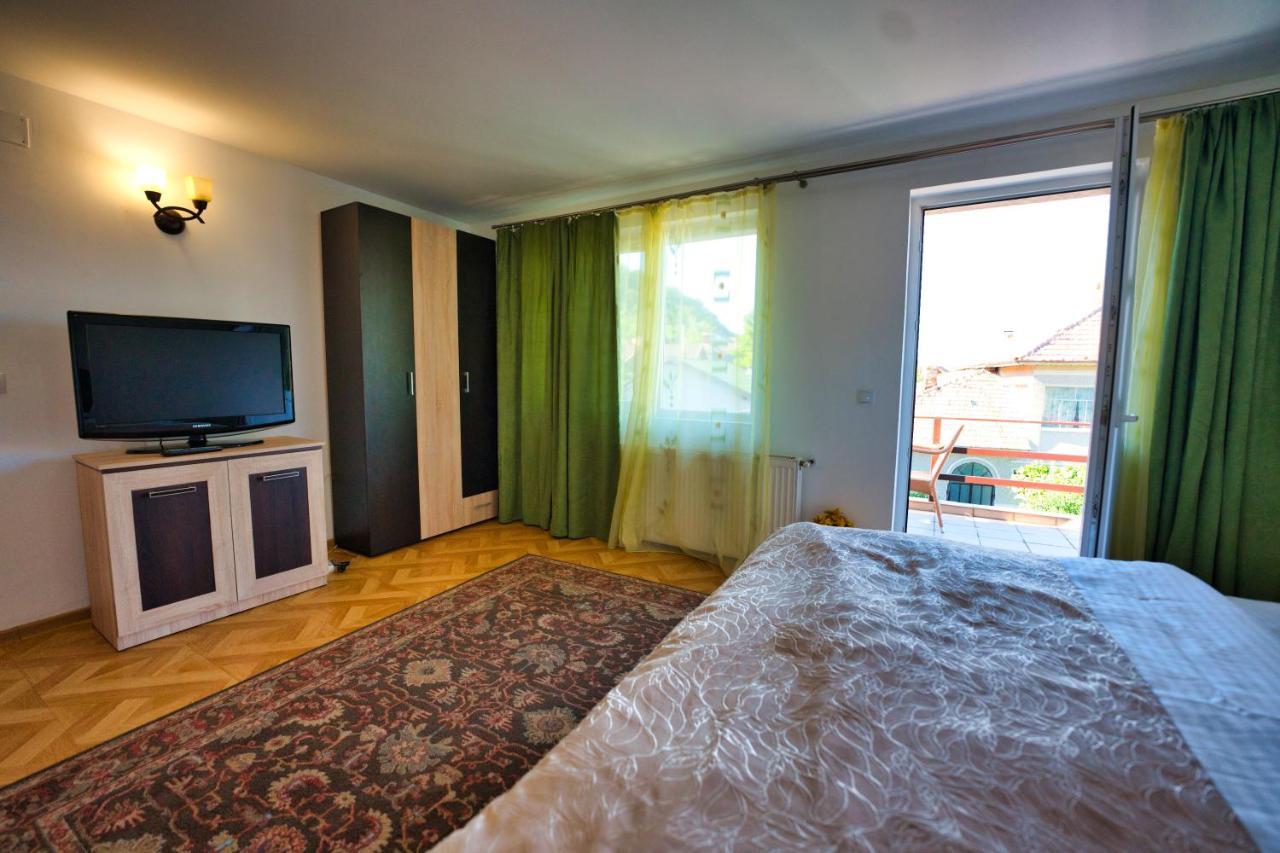 Vila Victoria Râmnicu Vâlcea 외부 사진