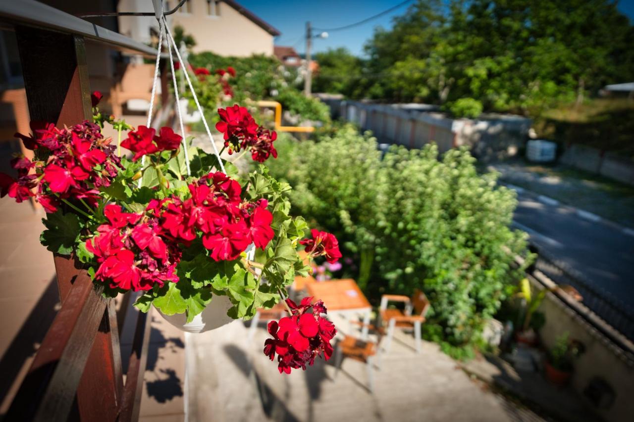 Vila Victoria Râmnicu Vâlcea 외부 사진