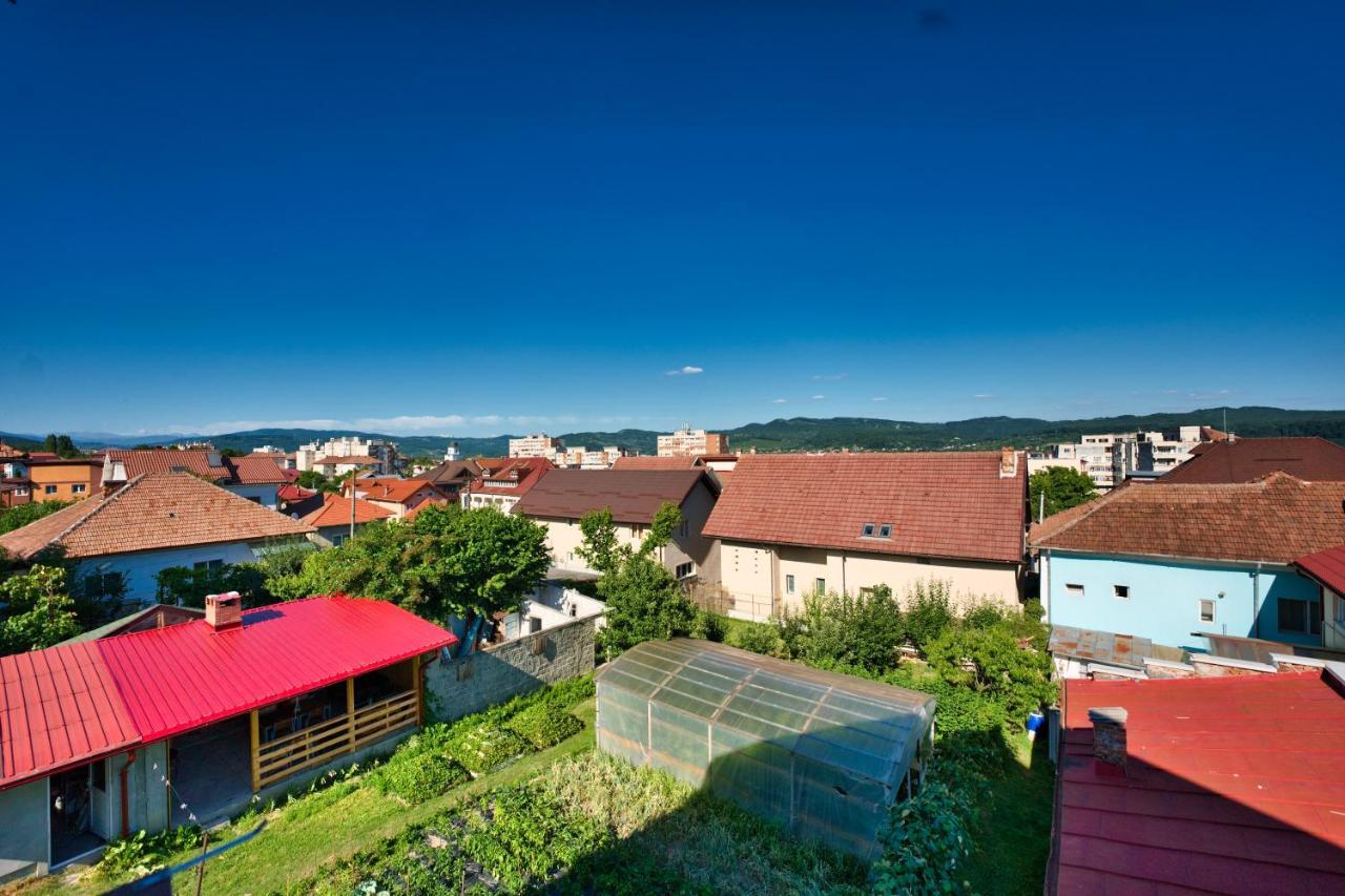 Vila Victoria Râmnicu Vâlcea 외부 사진