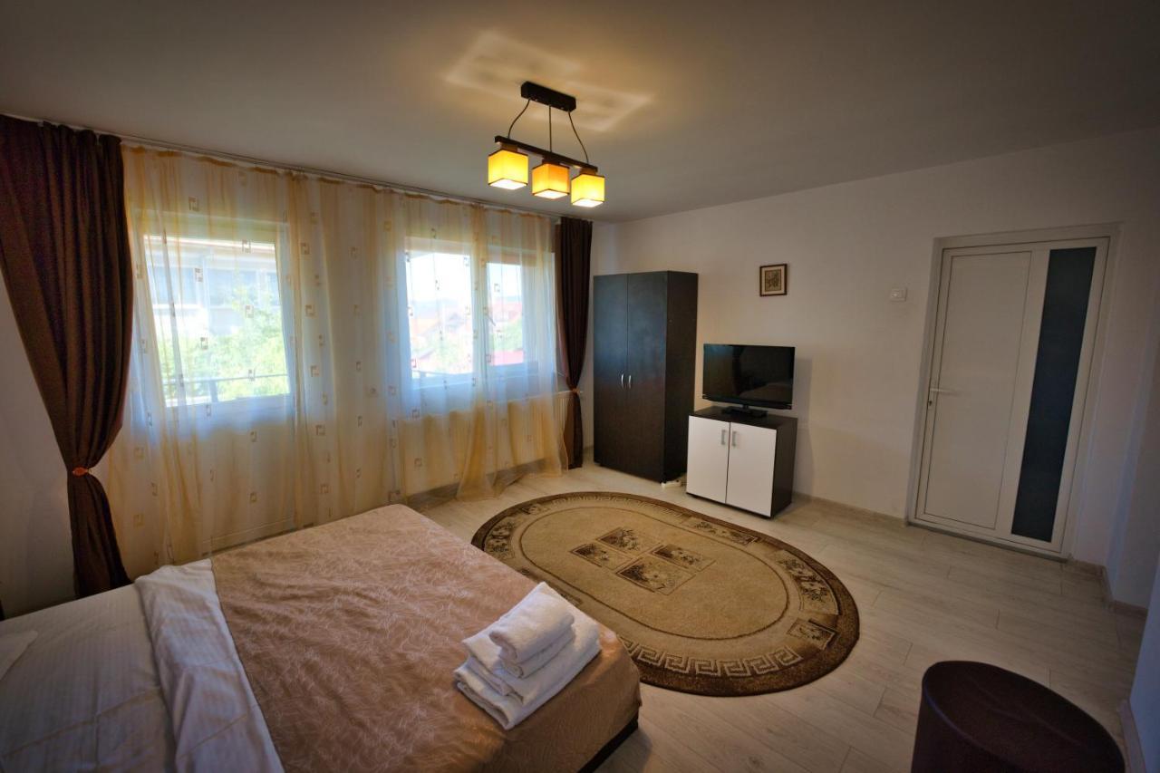 Vila Victoria Râmnicu Vâlcea 외부 사진
