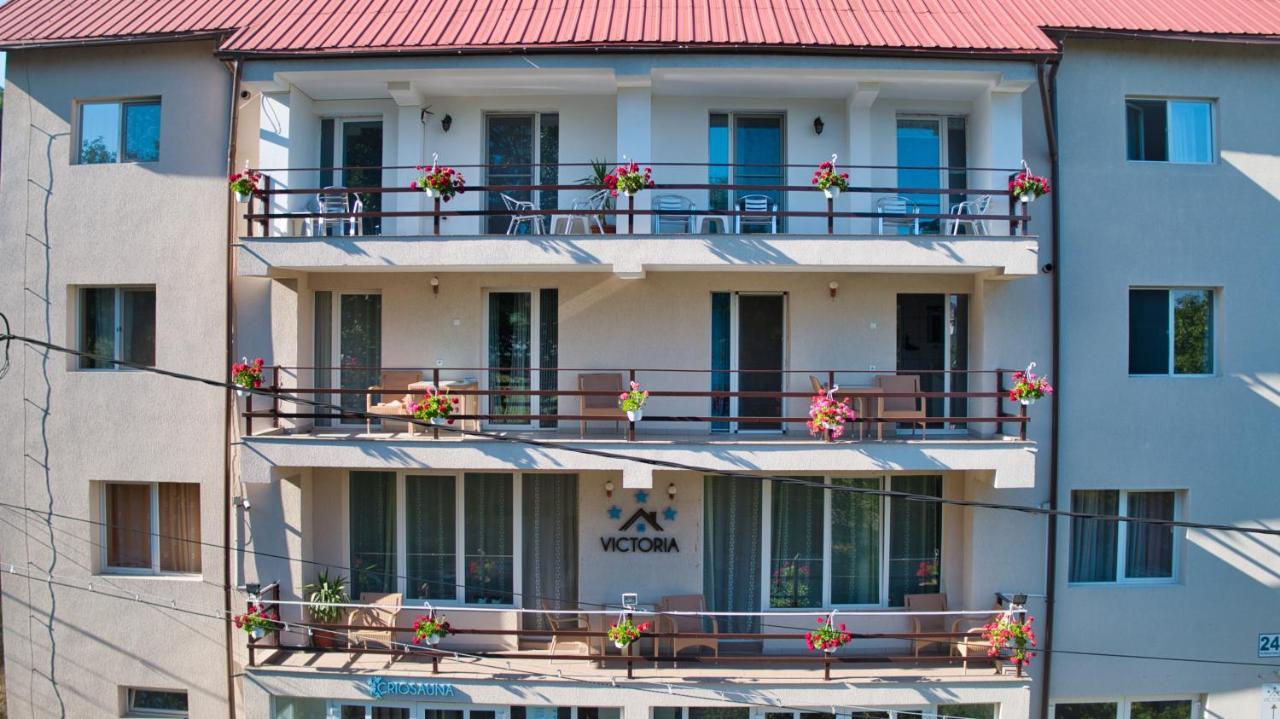 Vila Victoria Râmnicu Vâlcea 외부 사진
