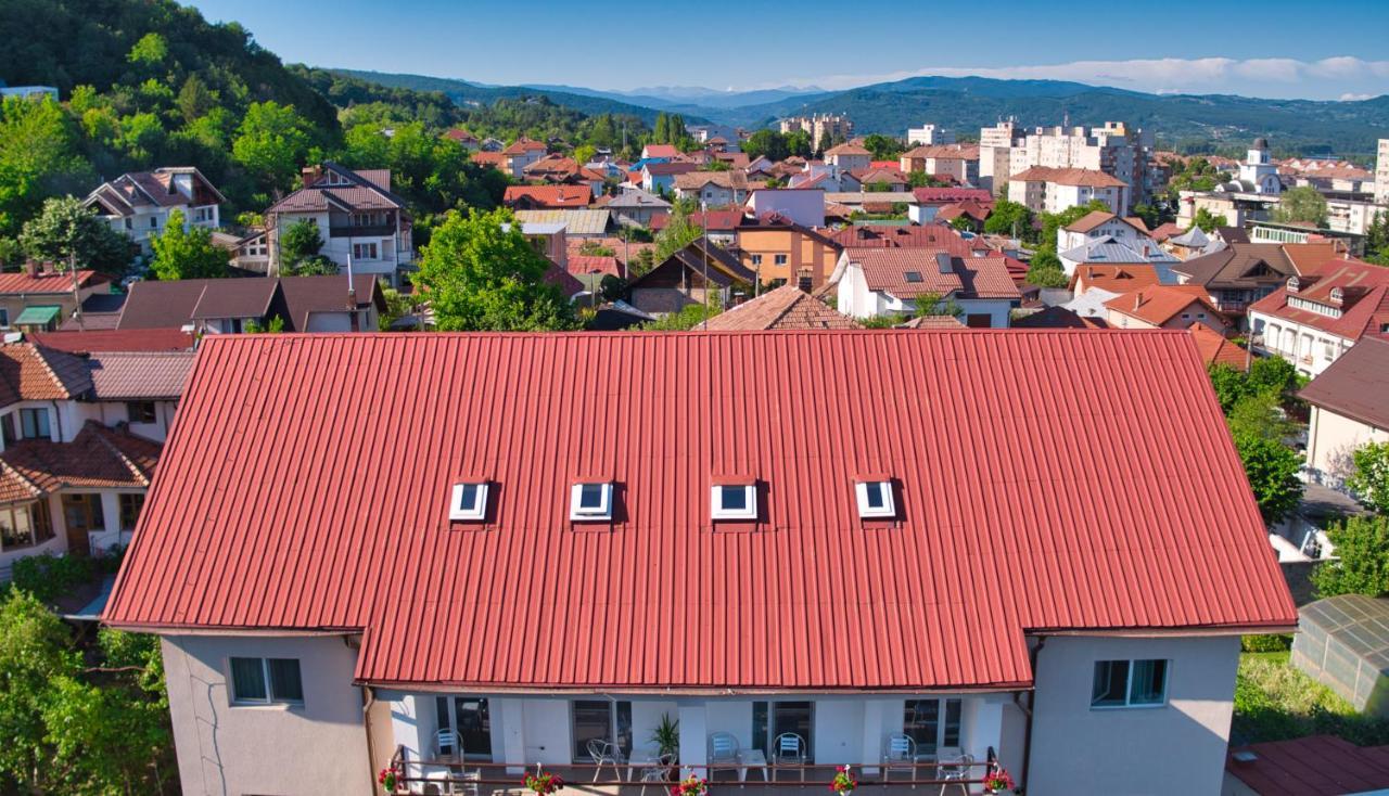 Vila Victoria Râmnicu Vâlcea 외부 사진