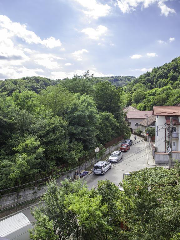 Vila Victoria Râmnicu Vâlcea 외부 사진