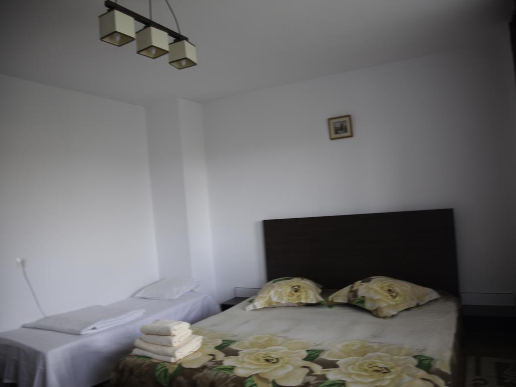 Vila Victoria Râmnicu Vâlcea 외부 사진